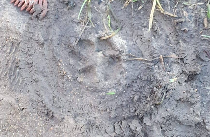 Podcast “En piste”